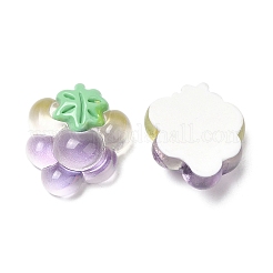 Durchscheinende Frucht-Cabochons aus Harz RESI-G072-03C