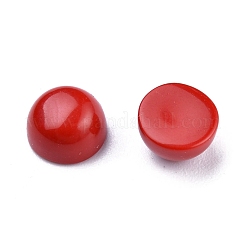 Synthetische Korallen Cabochon G-P393-R65-6MM