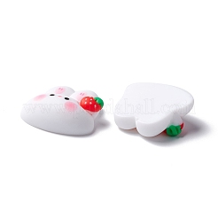 Harz Cabochons RESI-C008-04