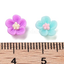 Leuchtende Decoden-Cabochons aus Harz RESI-K036-31