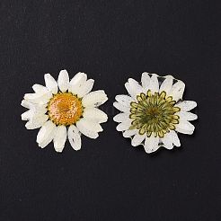Blüten-Cabochons aus undurchsichtigem Harz RESI-L036-07C