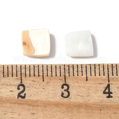 Natürliche weiße Muschel & rosa Muschel-Cabochons SSHEL-Z003-01