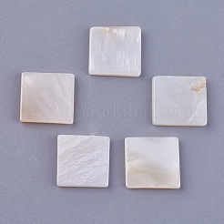 Shell Cabochons BSHE-P026-24
