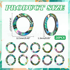 25 Stück natürliche Abalone Muschel/Paua Muschel Cabochons SHEL-WR0001-01
