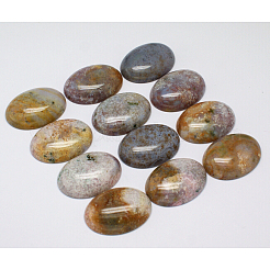 Natur Indien Achat Cabochons G-D860-A24