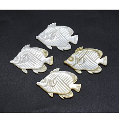 Shell Cabochons SSHEL-P015-73