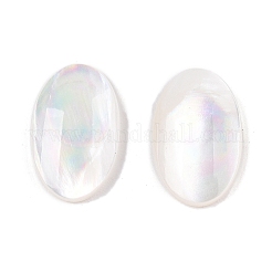 Natürliche weiße Muschel cabochons SSHEL-T017-06