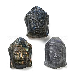 Natürlicher Labradorit geschnitzte Cabochons G-C152-12