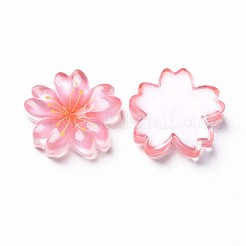 Transparente Epoxidharz-Cabochons CRES-S365-22