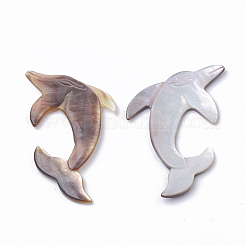 Schwarz Lippe Shell Cabochons SSHEL-Q303-003
