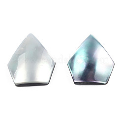 Natürliche Turbo Cornulus/Top Shell Cabochons SSHEL-N003-155A