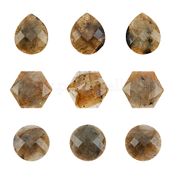9 Stück 3 Stile natürliche Labradorit-Cabochons G-FH0001-27