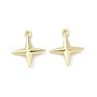 Подвески из сплава &nbsp;FIND-Z089-07G-01