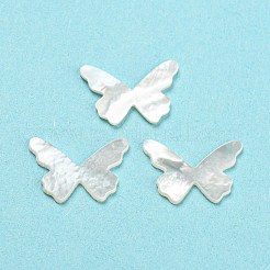 Natürliche Muschel-Cabochons SHEL-D079-16
