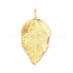Eisen Cabochons IFIN-Q118-41G