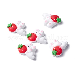 Harz Cabochons RESI-C008-06