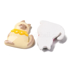 Harz Cabochons CRES-M002-01