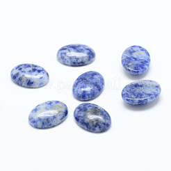 Natürliche blaue Fleck Jaspis Cabochons G-T020-18x25mm-09