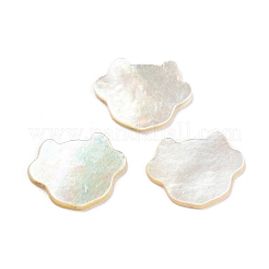 Natürliche Muschel-Cabochons SHEL-D079-15