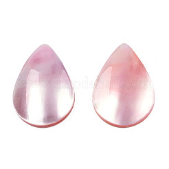 Natürliche Turbo Cornulus/Top Shell Cabochons SSHEL-N003-157B