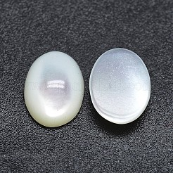 Shell Cabochons SSHEL-P015-59F