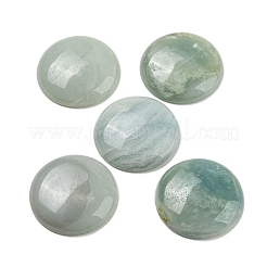 Natürliche Amazonit-Cabochons G-H291-01