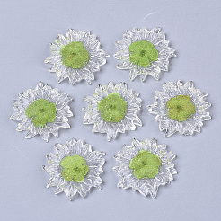 Transparente klare Epoxidharz-Cabochons CRES-N025-02C