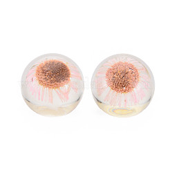 Transparentem Acryl Cabochons TACR-N006-62C