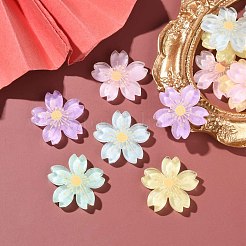 20 Stück 5 Farben durchscheinende Harz-Cabochons OHAR-YW0001-01