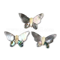 Natürliche schwarze Lippenmuschel & Paua-Muschel & gelbe Muschel-Cabochons SSHEL-I026-25