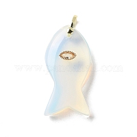 Opalite подвески&nbsp;G-Z102-02G-08