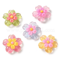 Durchscheinende Decoden-Cabochons aus Harz RESI-M041-09