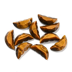 Natürliche Tigerauge-Schmetterlingsflügel-Cabochons G-D078-02A