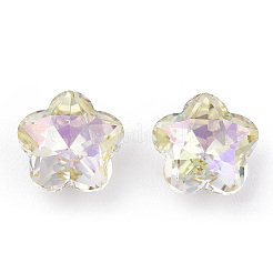 K9 Glas Strass Cabochons MRMJ-T075-02