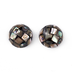 Synthetische Abalone-Muschel-/Paua-Muschelperlen SSHEL-K001-001D