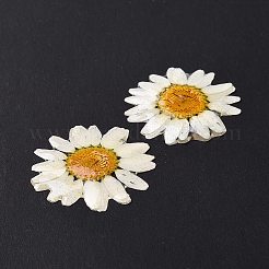 Blüten-Cabochons aus undurchsichtigem Harz RESI-L036-07C