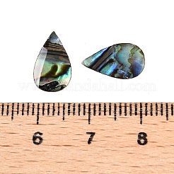 Natürliche Paua-Muschel-Tropfen-Cabochons SSHEL-T017-12