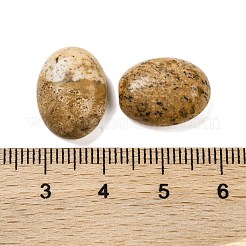 Natur Bildjaspisses cabochons G-B085-06D-03