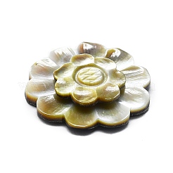 Natürlichen Shell Cabochons SHEL-K008-09