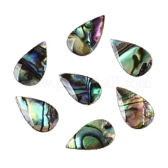 Natürliche Paua-Muschel-Tropfen-Cabochons SSHEL-T017-12