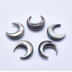 Natürliche schwarze Lippe Shell Cabochons SSHEL-P015-80B-20mm