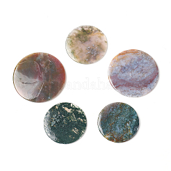 Natur Indien Achat Cabochons G-F586-B