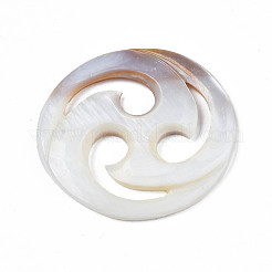 Natürliche Süßwasser Muschel Cabochons SHEL-S276-162