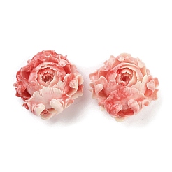 Synthetische Muschel-Cabochons CORA-B001-06