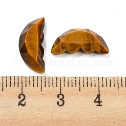 Natürliche Tigerauge-Schmetterlingsflügel-Cabochons G-D078-02A