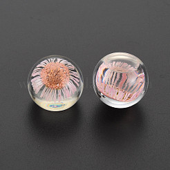 Transparentem Acryl Cabochons TACR-N006-62C