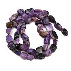 Естественно чароитовыми бисер пряди X-G-S301-13-01