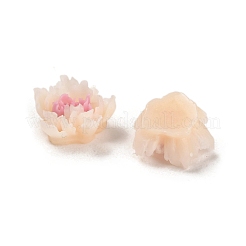 Leuchtende Decoden-Cabochons aus Harz RESI-K036-06H