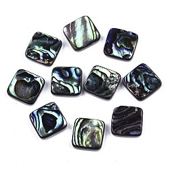 Natürliche Abalone Muschel / Paua Muschel Cabochons SSHEL-N034-75A-01