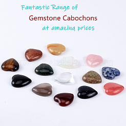 Natürliche / synthetische Edelstein-Cabochons G-PH0019-12